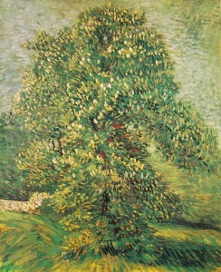 Vincent van Gogh: Castagno in fiore, Amsterdam Rijksmuseum V. V. G.